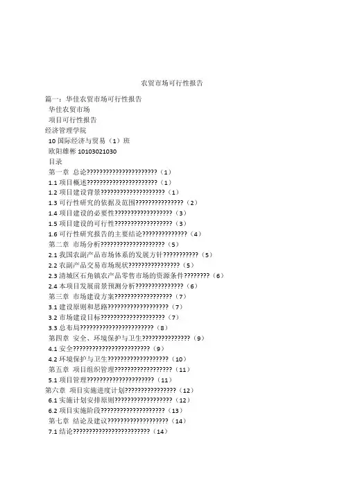 农贸市场可行性报告