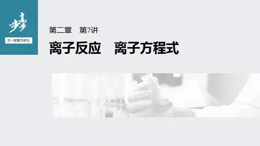 2022年高考化学一轮复习 第2章 第7讲 离子反应 离子方程式