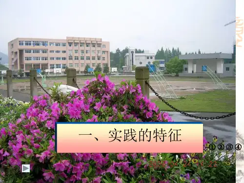 实践的特征PPT课件解析4 人教版