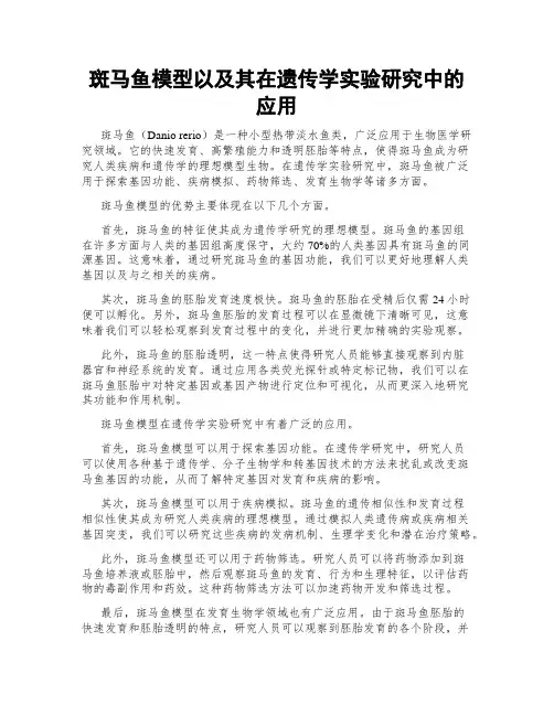 斑马鱼模型以及其在遗传学实验研究中的应用