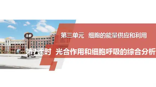 高三生物一轮复习课件-光合作用和细胞呼吸的综合分析