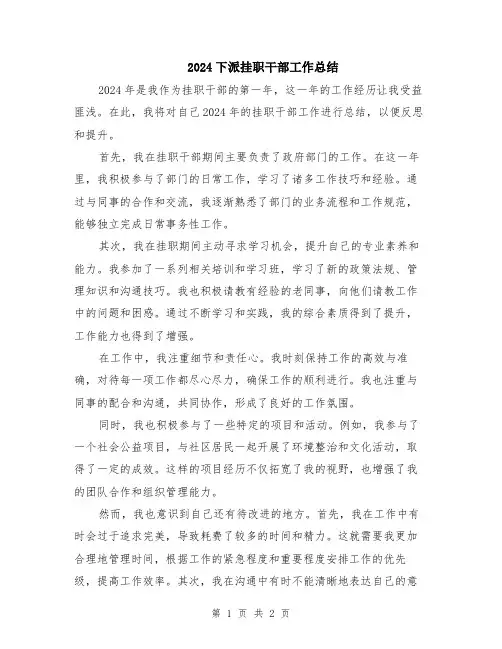2024下派挂职干部工作总结