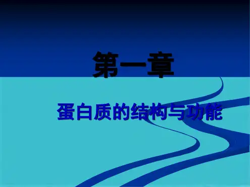  蛋白质的结构与功能(1)(共125张PPT)