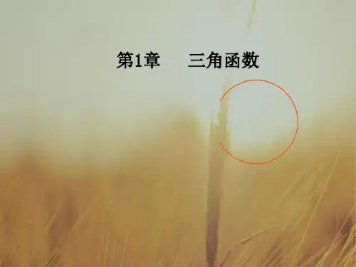 2018高中数学必修4课件：第1章1-2-1-2-1任意角的三角函数 精品