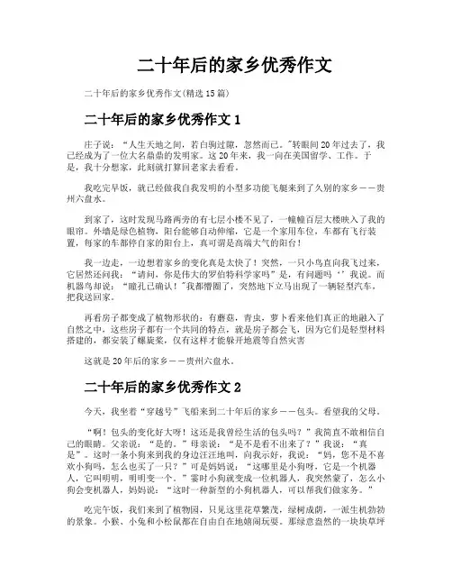 二十年后的家乡优秀作文