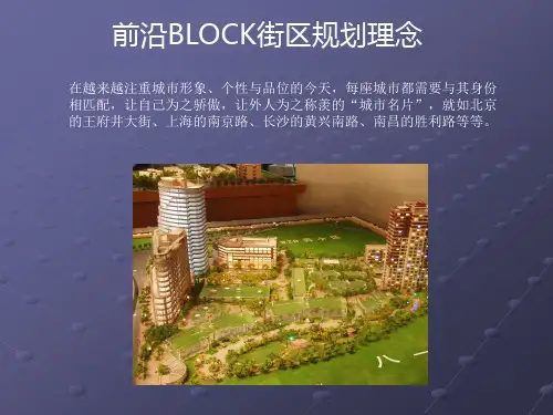 城市规划前沿理论-BLOCK街区