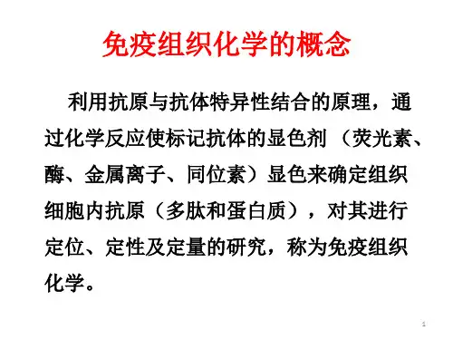 免疫组化实验方法ppt课件