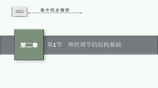 最新人教版高中生物选择性必修1第2章神经调节第1节神经调节的结构基础