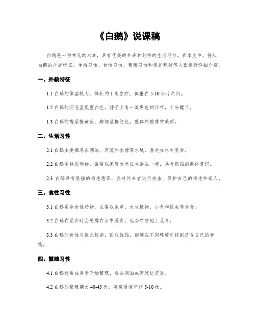 《白鹅》说课稿