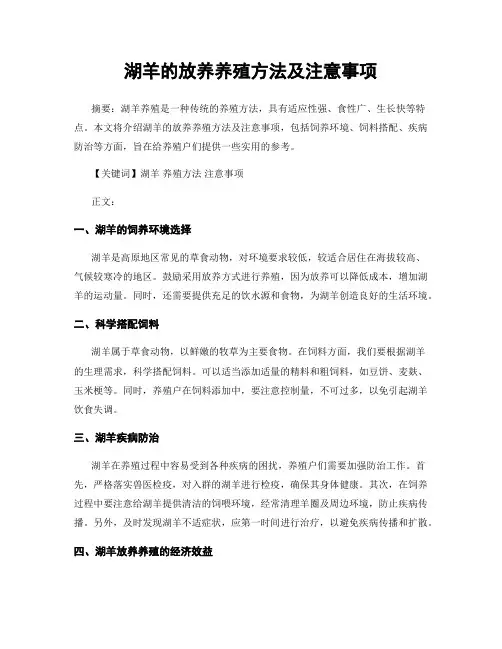 湖羊的放养养殖方法及注意事项