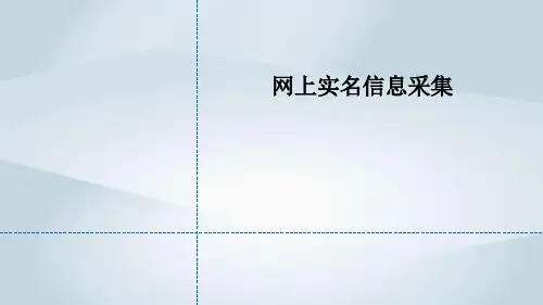 网上实名信息采集