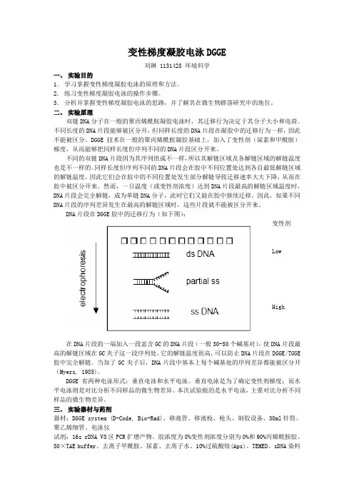 变性梯度凝胶电泳DGGE实验报告
