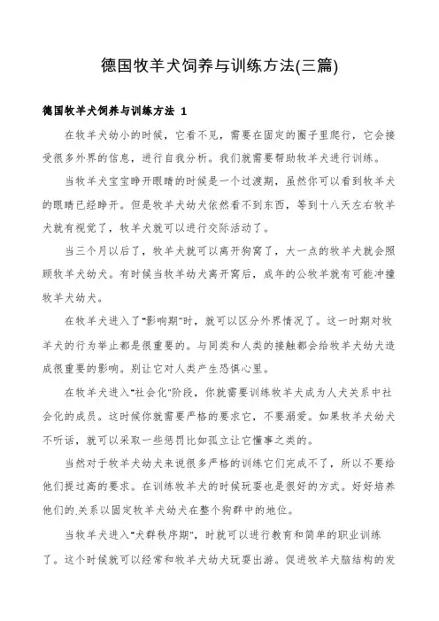 德国牧羊犬饲养与训练方法(三篇)