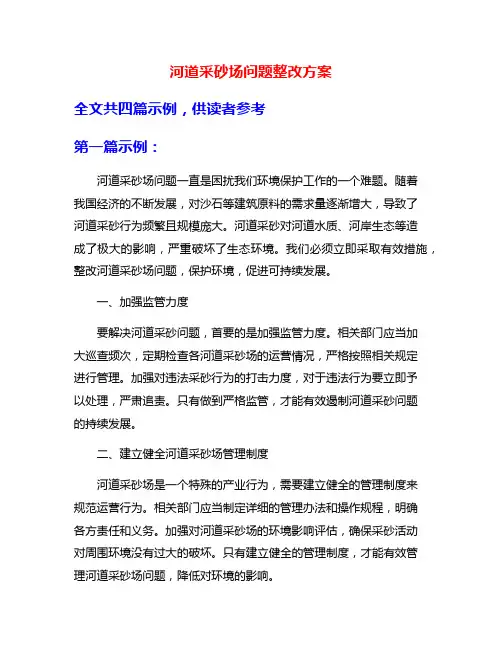 河道采砂场问题整改方案