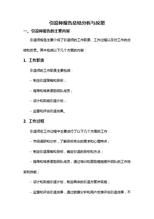 引逗师报告总结分析与反思