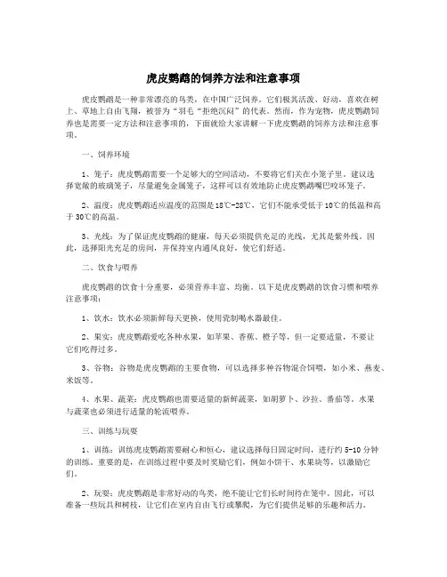 虎皮鹦鹉的饲养方法和注意事项