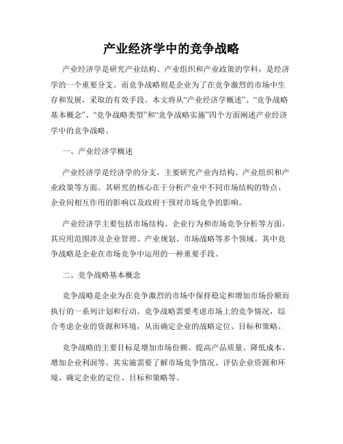 产业经济学中的竞争战略