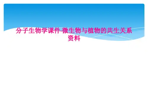 分子生物学课件-微生物与植物的共生关系资料