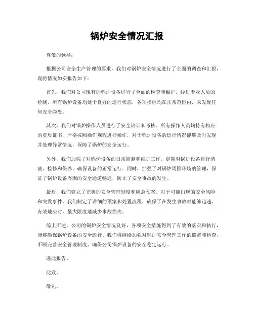 锅炉安全情况汇报