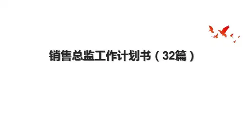销售总监工作计划书(32篇)