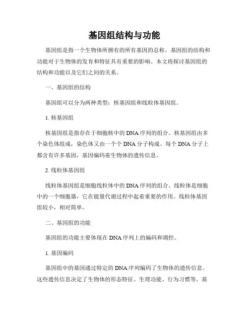 基因组结构与功能