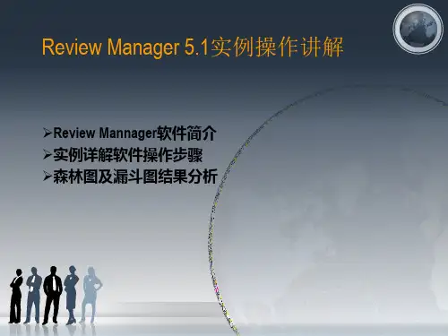 Review_Manager_5实例分析
