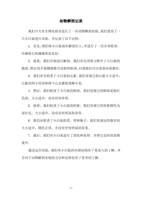 动物解剖记录