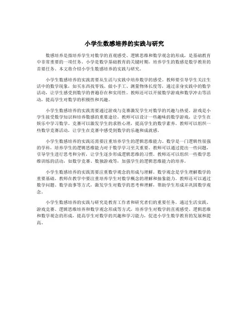 小学生数感培养的实践与研究