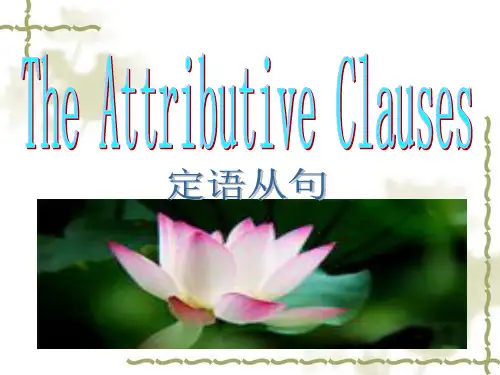 中考英语定语从句专题课件(共32张PPT)