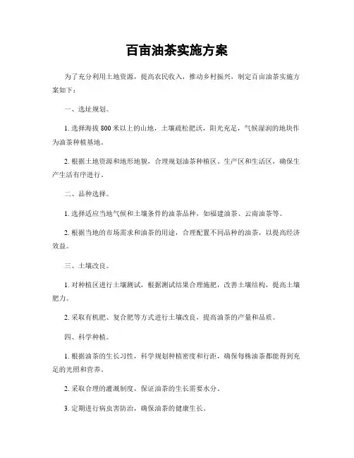 百亩油茶实施方案