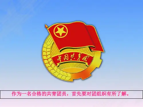 如何做一名合格共青团员