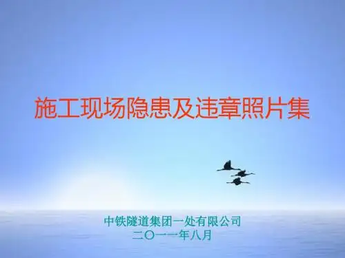 施工现场隐患及违章照片集(定)