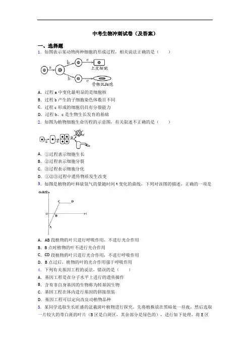 中考生物冲刺试卷(及答案)