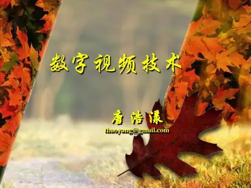 第二章___数字视频描述(数字视频基础)