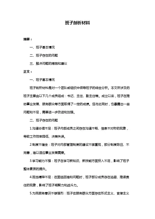 班子剖析材料
