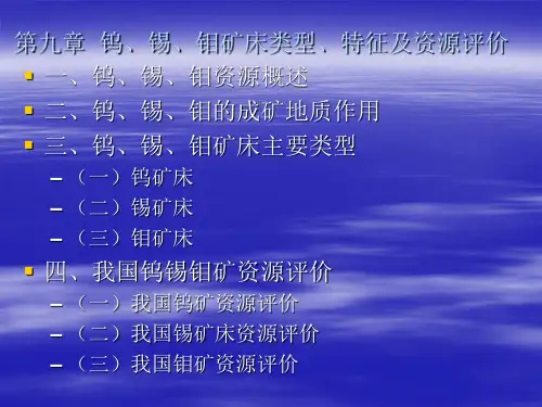 第九章  钨、锡、钼矿床类型、特征及资源评价