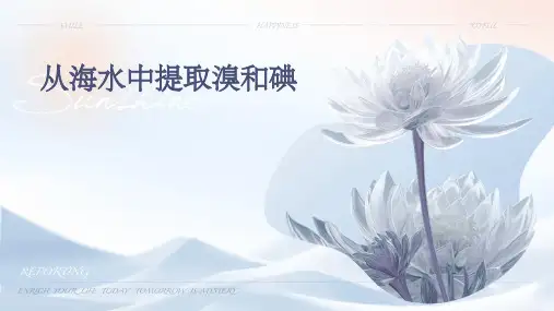 从海水中提取溴和碘