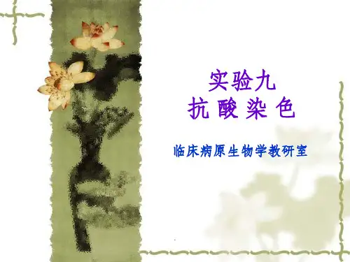 实验九-抗酸染色