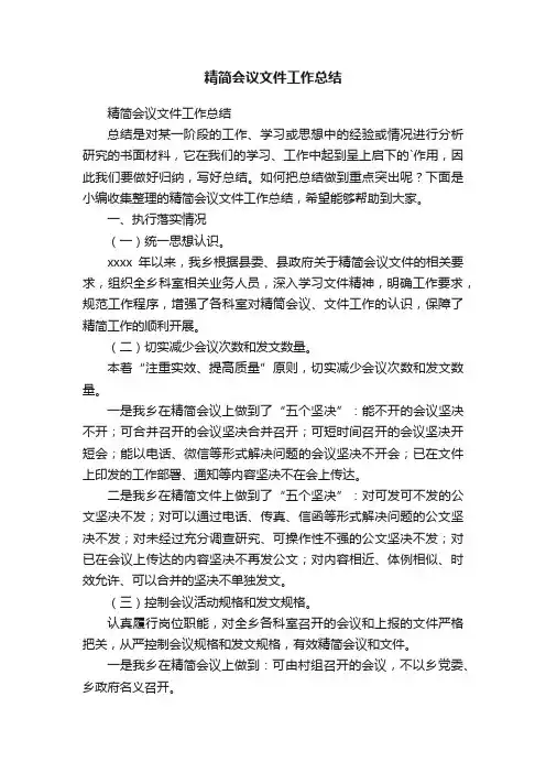 精简会议文件工作总结