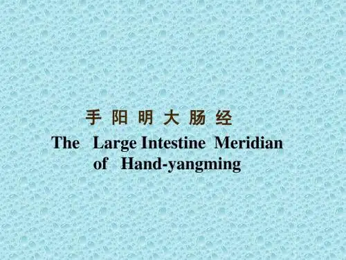 手阳明大肠经