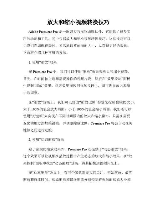 放大和缩小视频转换技巧