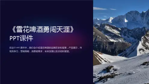 《雪花啤酒勇闯天涯》课件