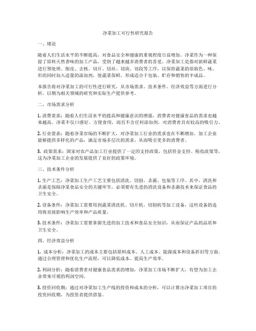 净菜加工可行性研究报告