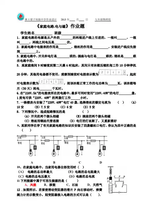 家庭电路、电与磁作业