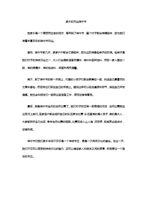 家乡的风俗端午节作文精选6篇