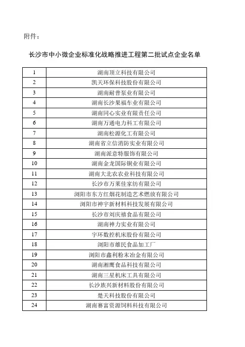 长沙市中小微企业标准化战略推进工程第二批试点企业名单