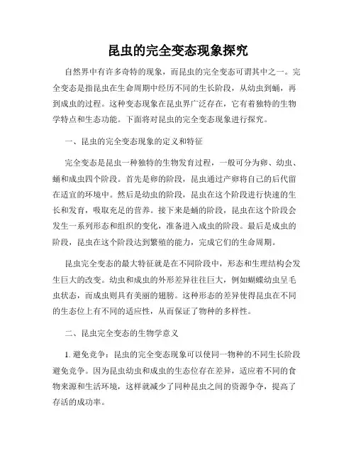 昆虫的完全变态现象探究