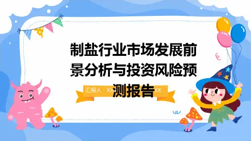 制盐行业市场发展前景分析与投资风险预测报告