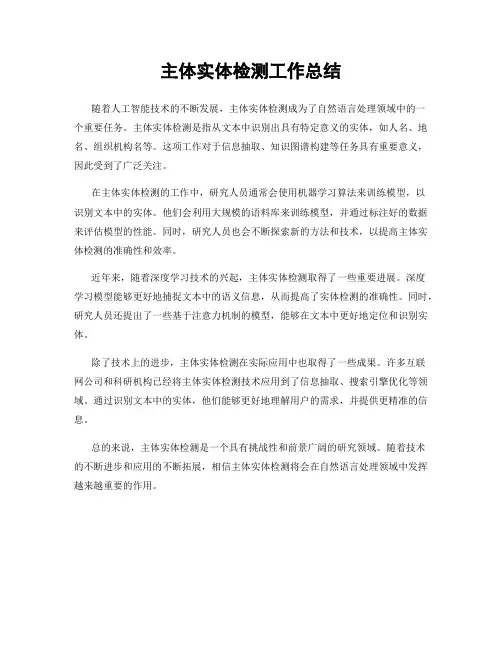 主体实体检测工作总结