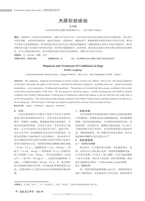 犬尿石症诊治